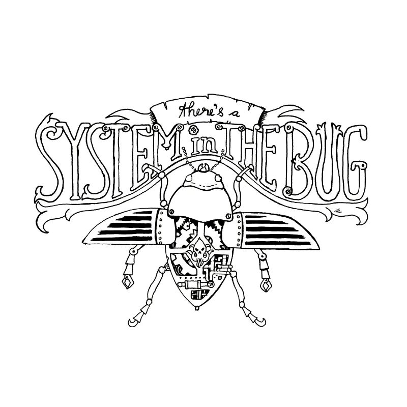 System in the Bug