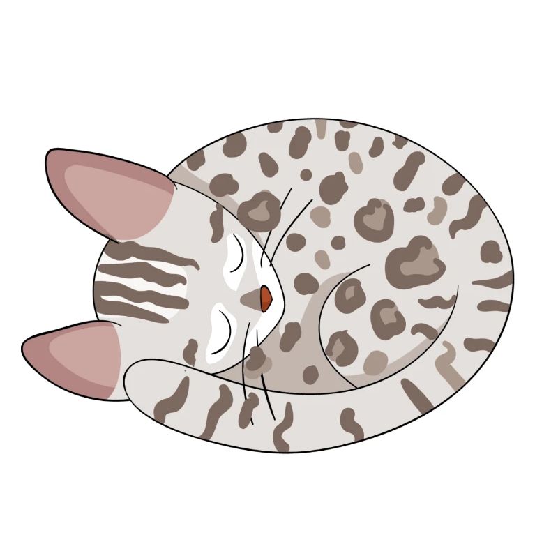 Bengal Kätzchen Katze
