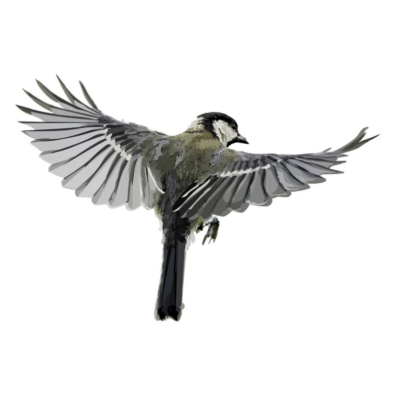 Vogel