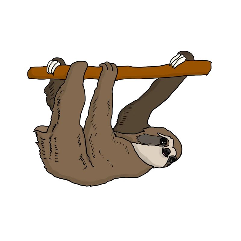 sloth