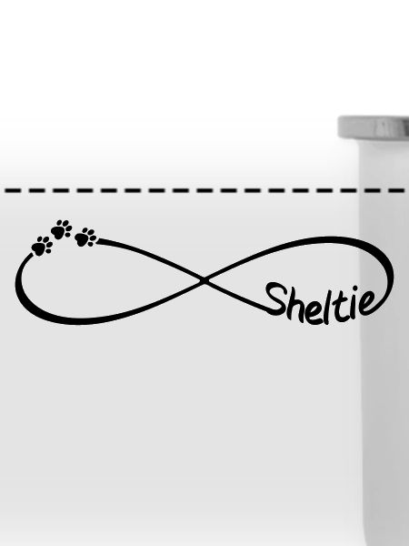 Sheltie Shetland