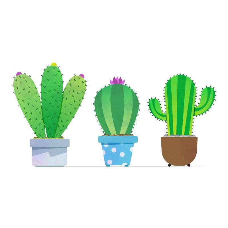 Cactus!