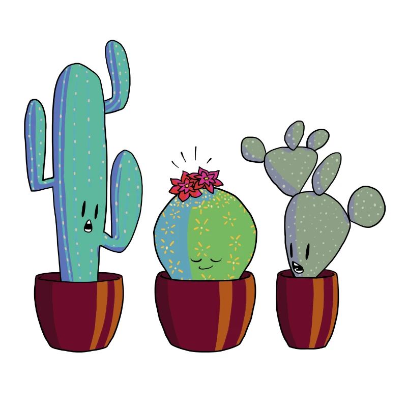 Cactus en fleur