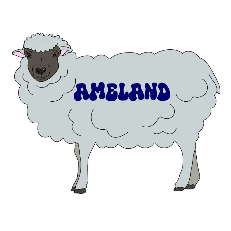 Ameland Sheep