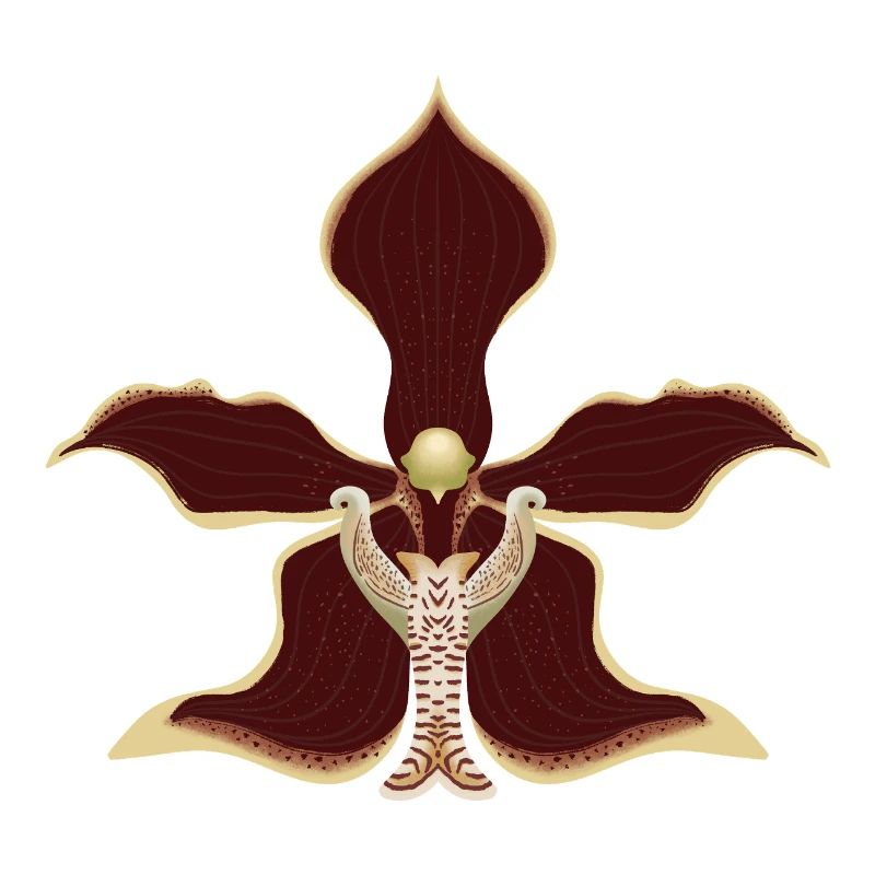 Orchideenblüte