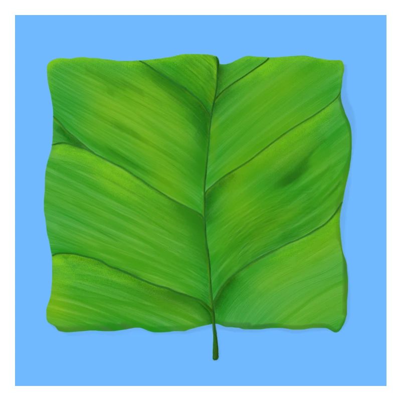 The Square Leaf
