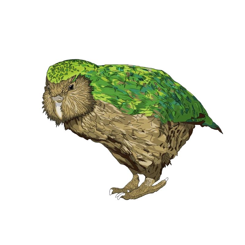 Kakapo