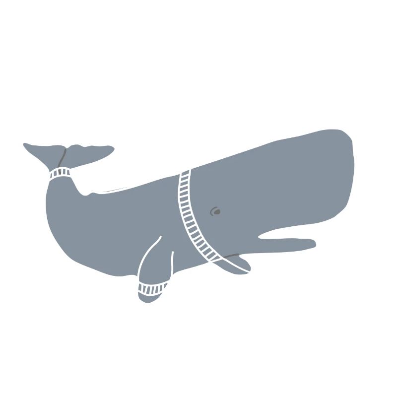 SPACE WHALE
