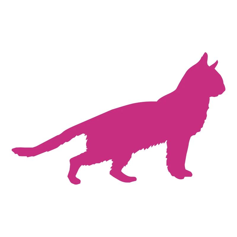 katze