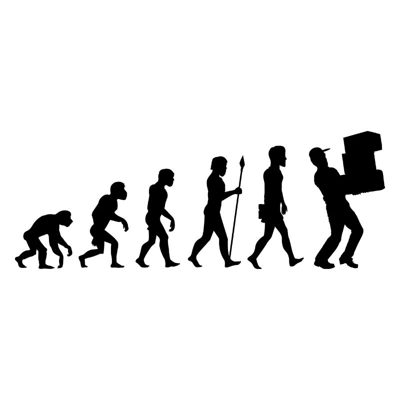 Evolution Paketzusteller T-Shirt Postbote Geschenk