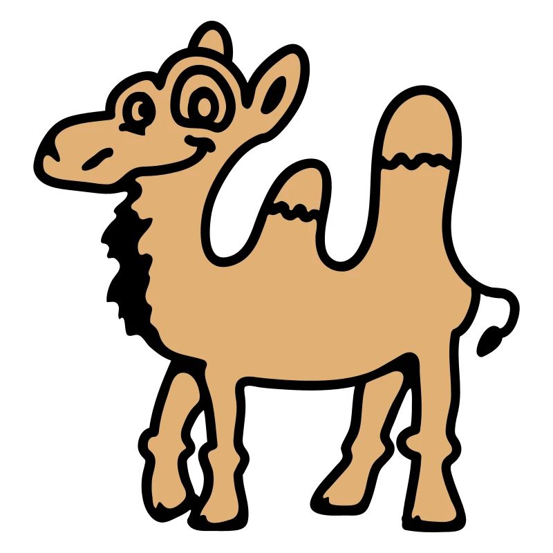 Camel