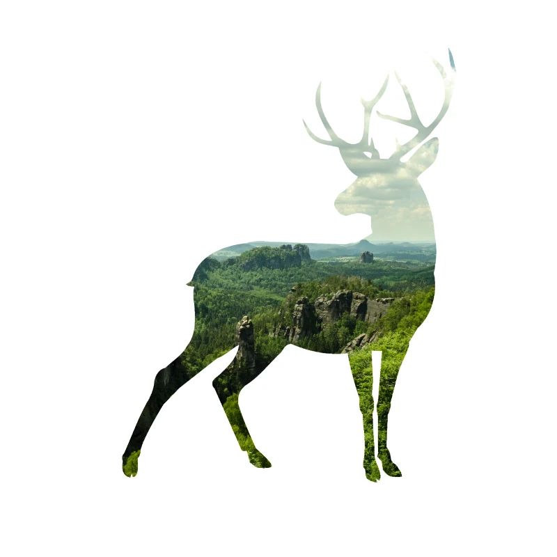 Deer silhoutte