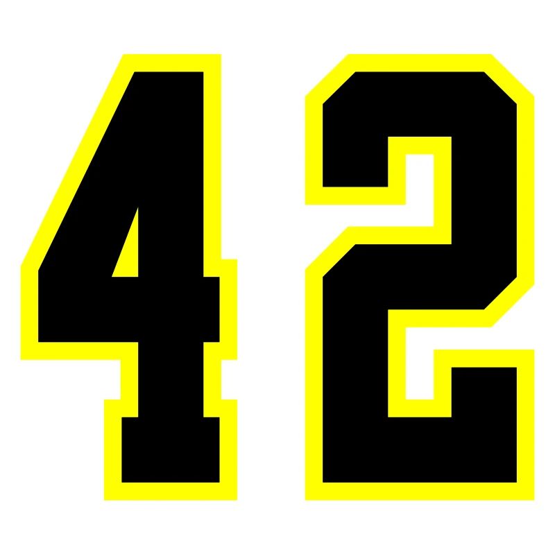 42 Number Leotard