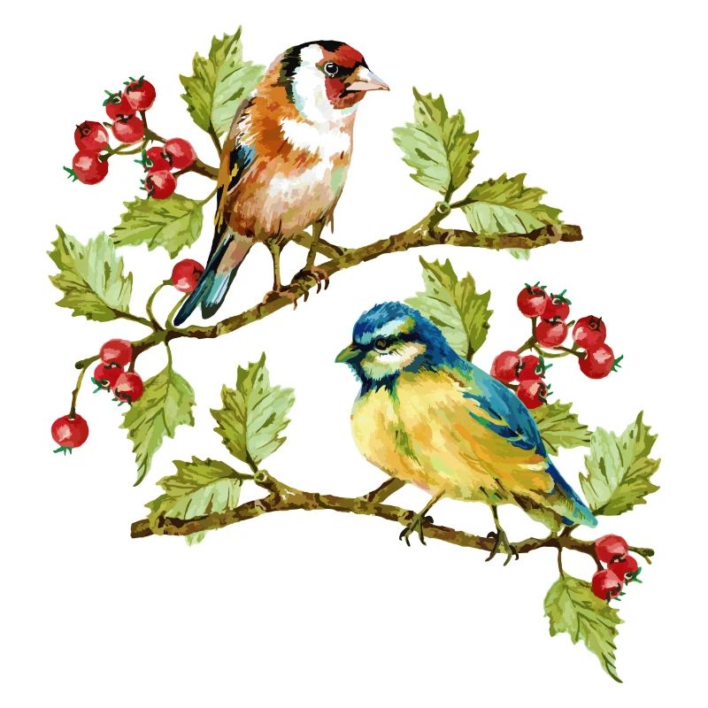 birds