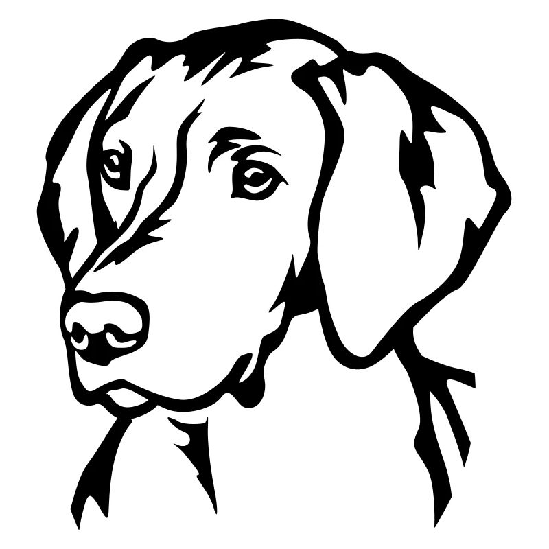 Magyar Vizsla Head