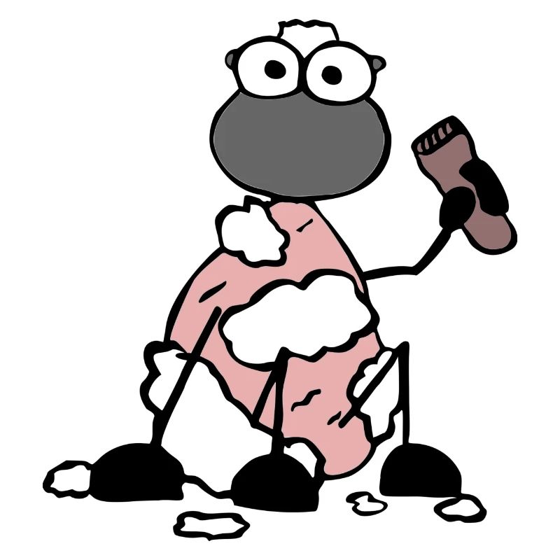Shaved Sheep
