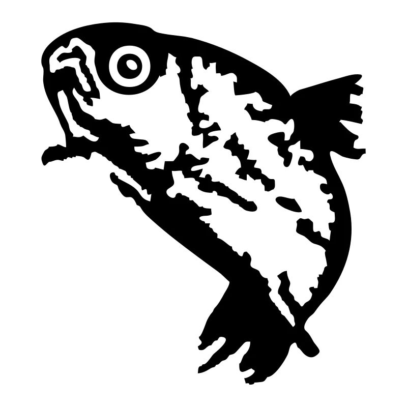 Forelle / Trout (1c)