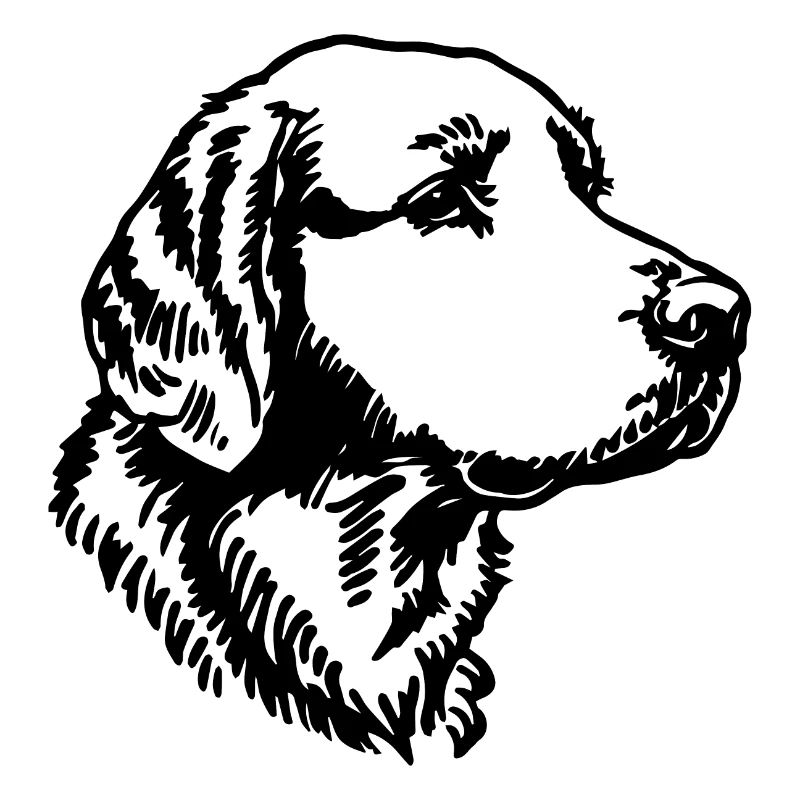 Golden Retriever Chien Chiens