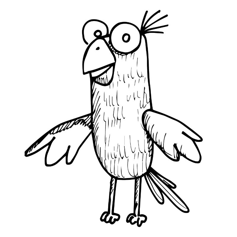 Perroquet oiseau