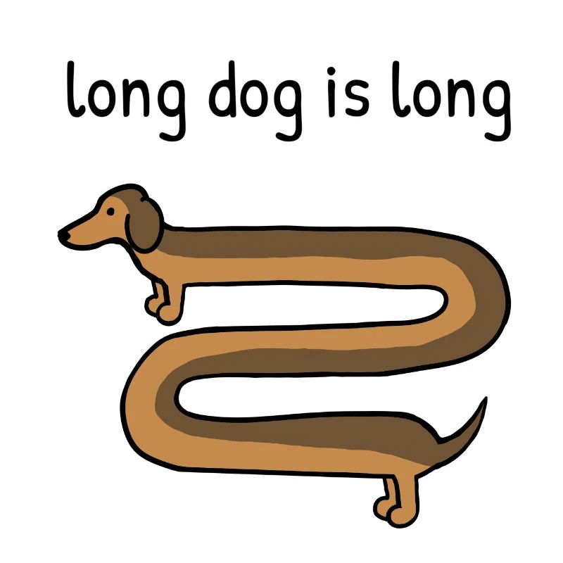 Un chien long est long