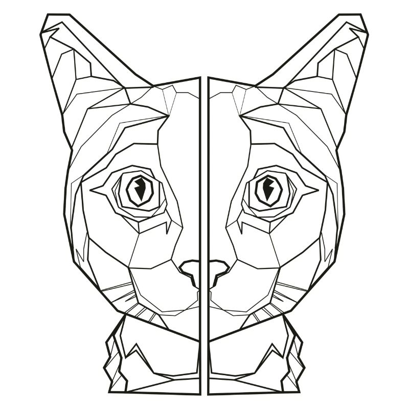 amant de chemise de chat de chat, ami de chat