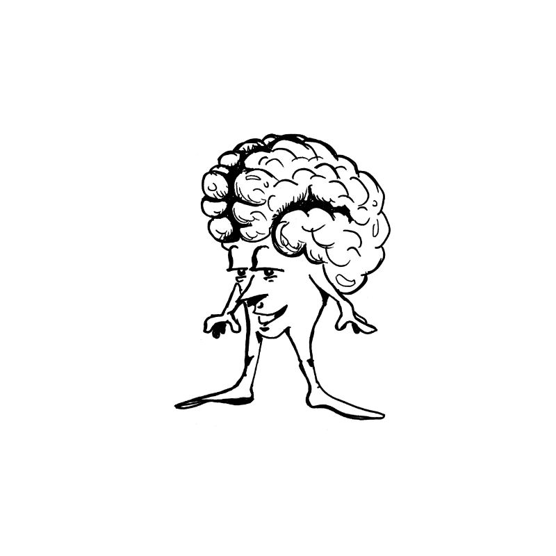 Brain