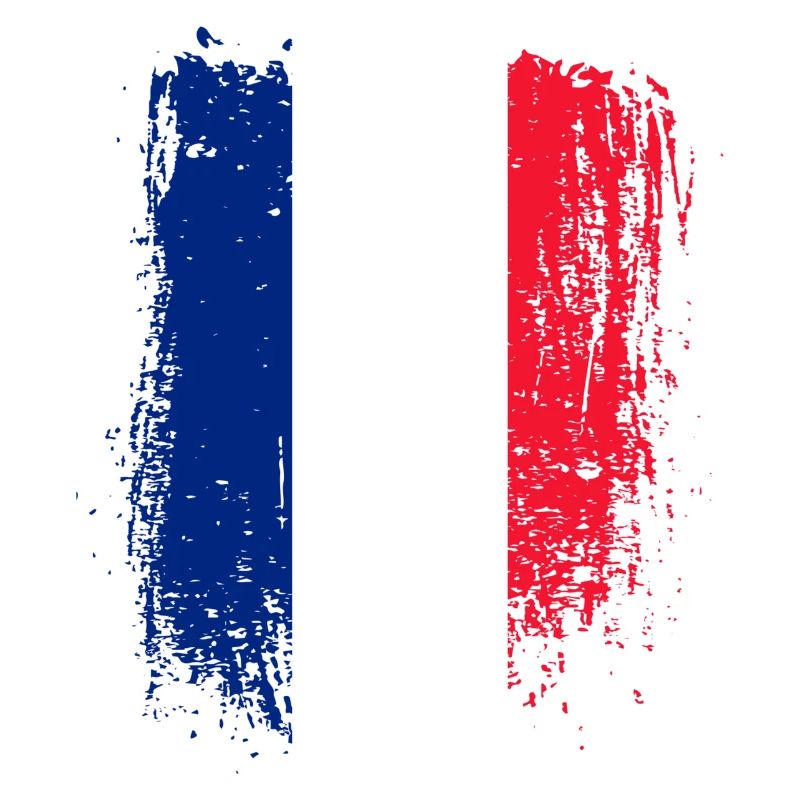 Coup de pinceau Drapeau français