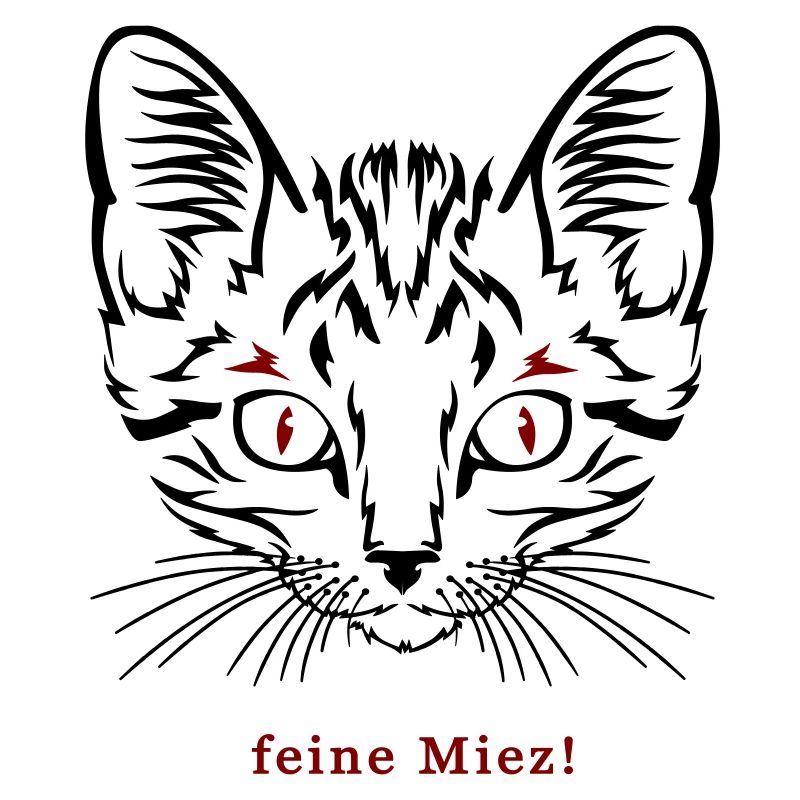 Chat, minou fin