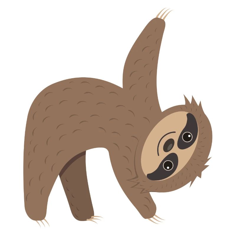 Sloth in action