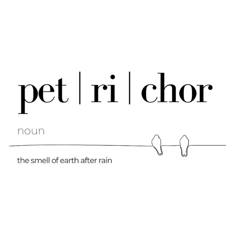 Der Gerich von Regen
