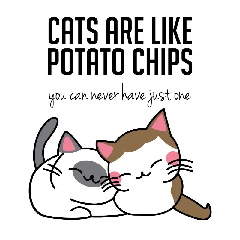 Chats: Les chats sont comme des pommes chips ...