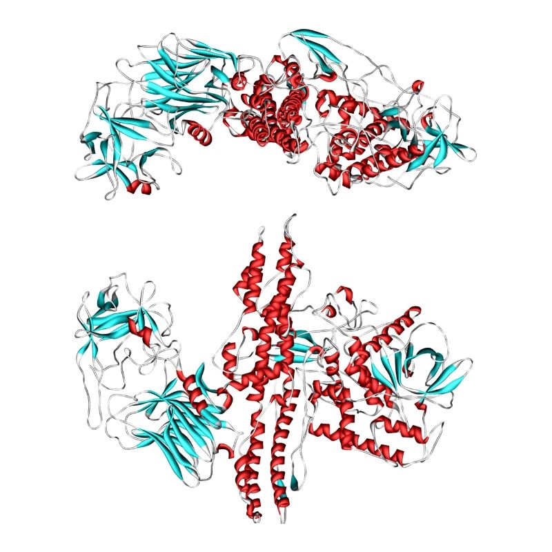 Botulinum toxin (Botox)
