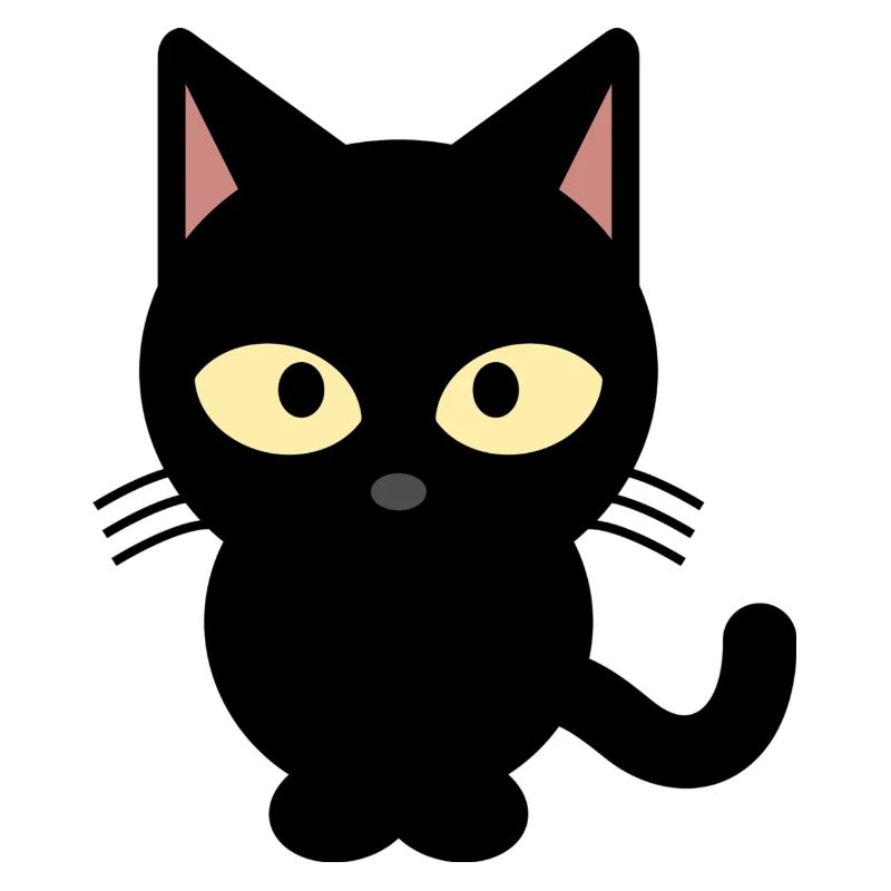Black cat