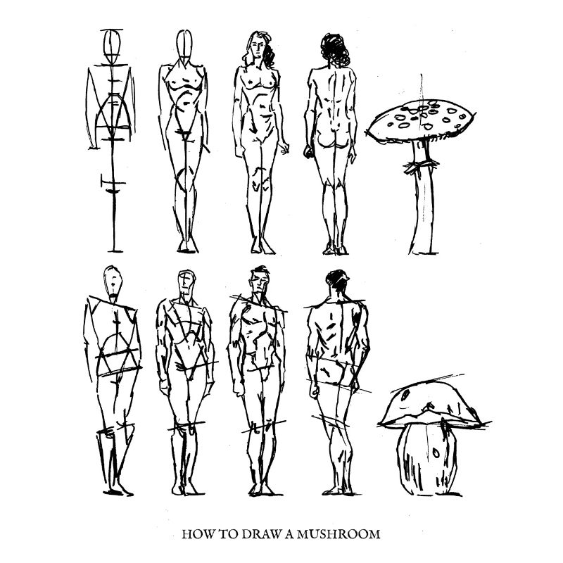 comment dessiner un champignon / champignons / Art
