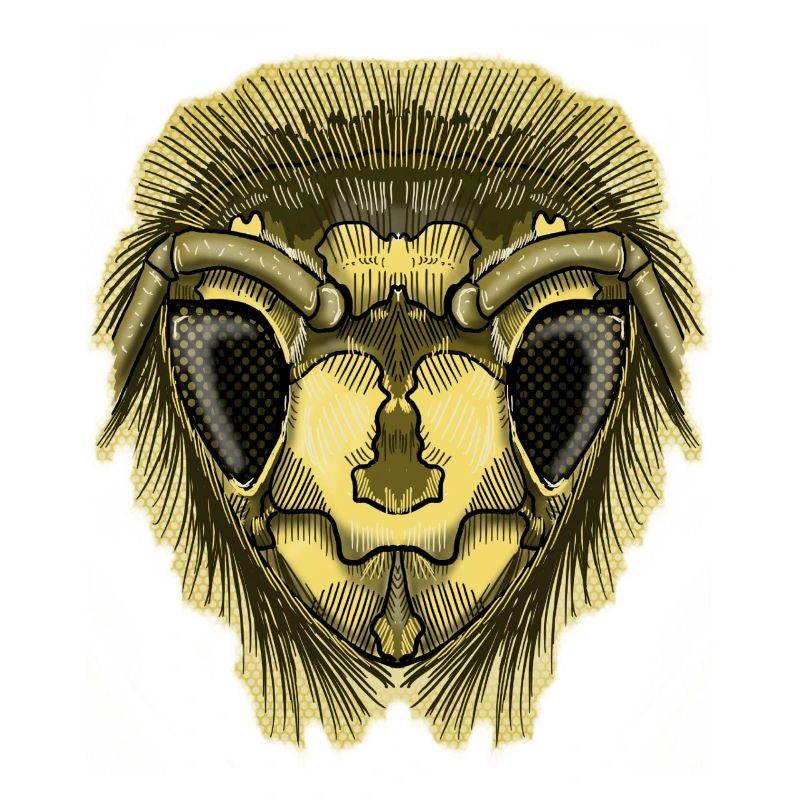 Half-Bee par Jon Ball