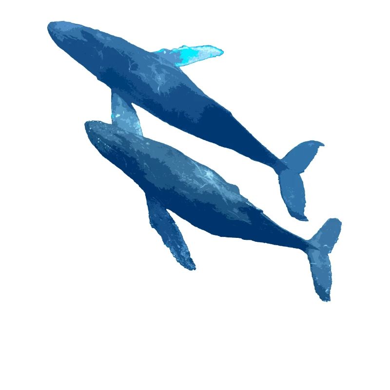 two whales