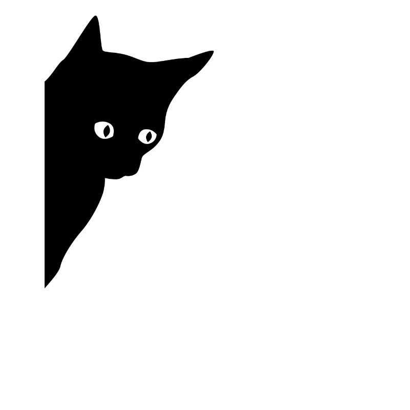 Black cat with shining eyes