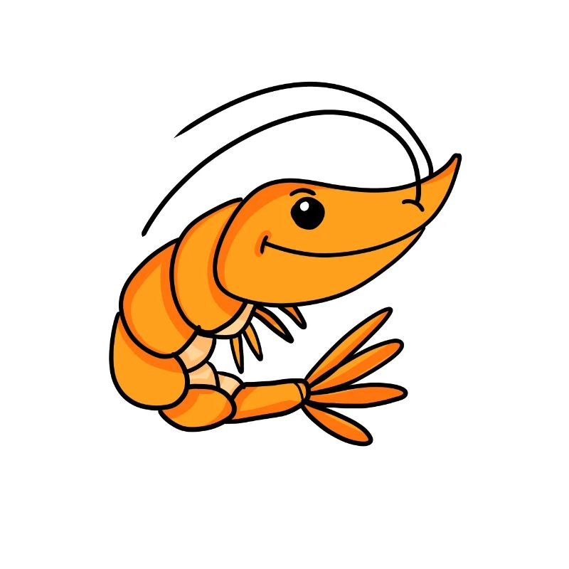 Shrimp