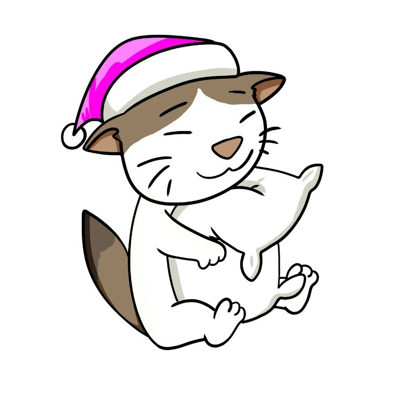Chat race de chat RagaMuffin