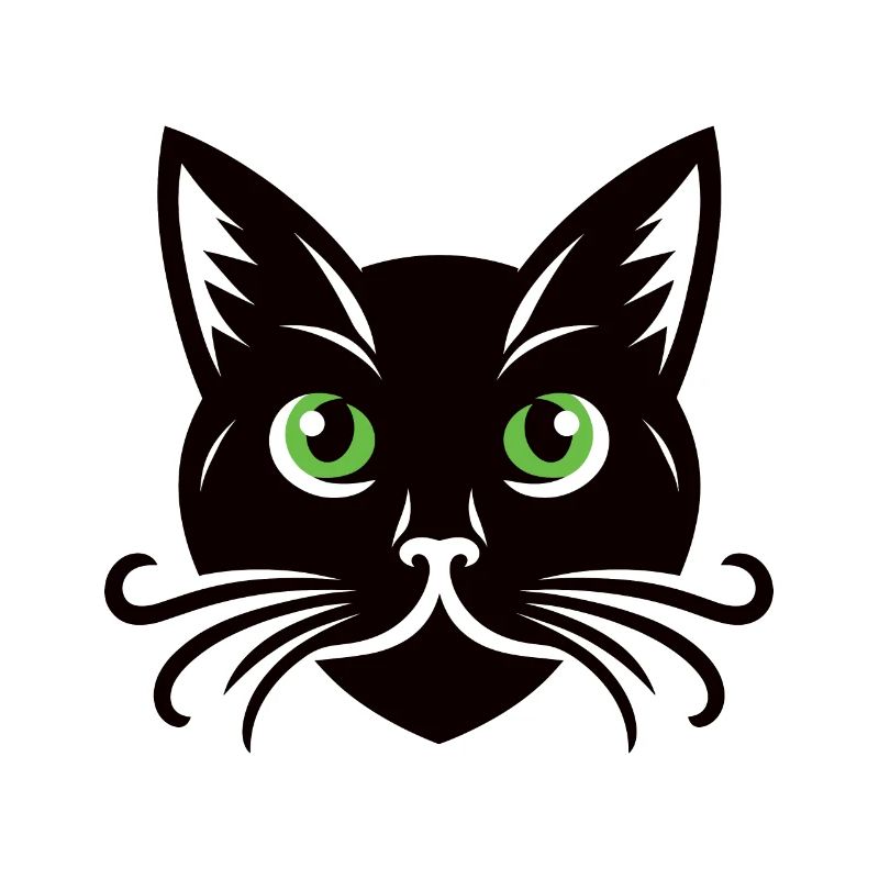 Chat noir qui vous observe, qui s’ébroue