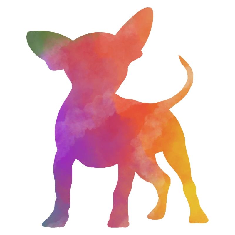 Rainbow Chihuahua