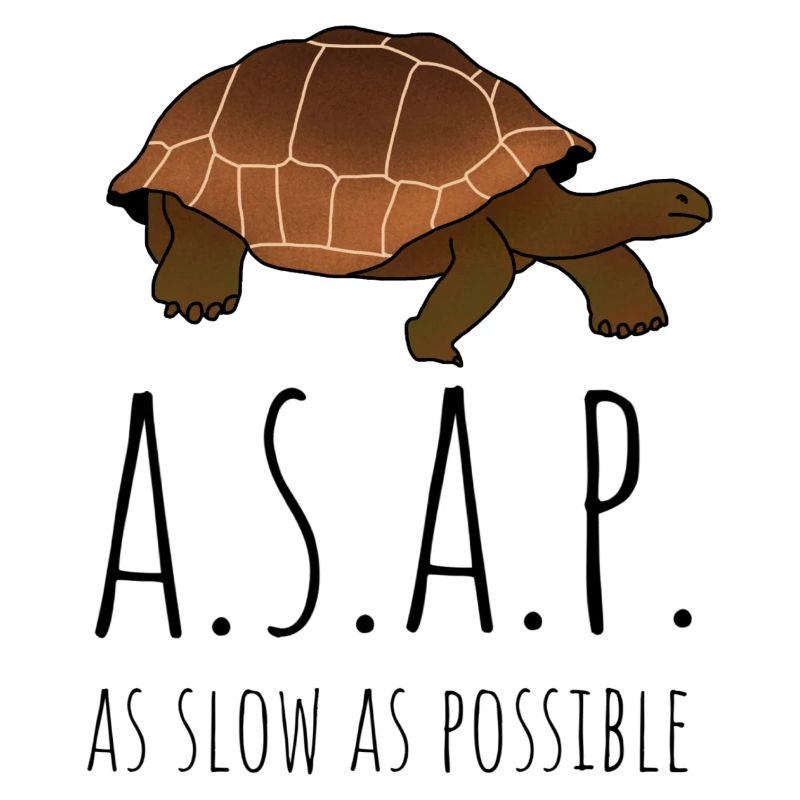 A.S.A.P - as slow as possible Turtle