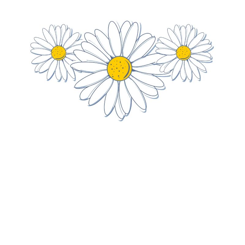Schöne Gänseblümchenblüte Beautiful Daisy Flower