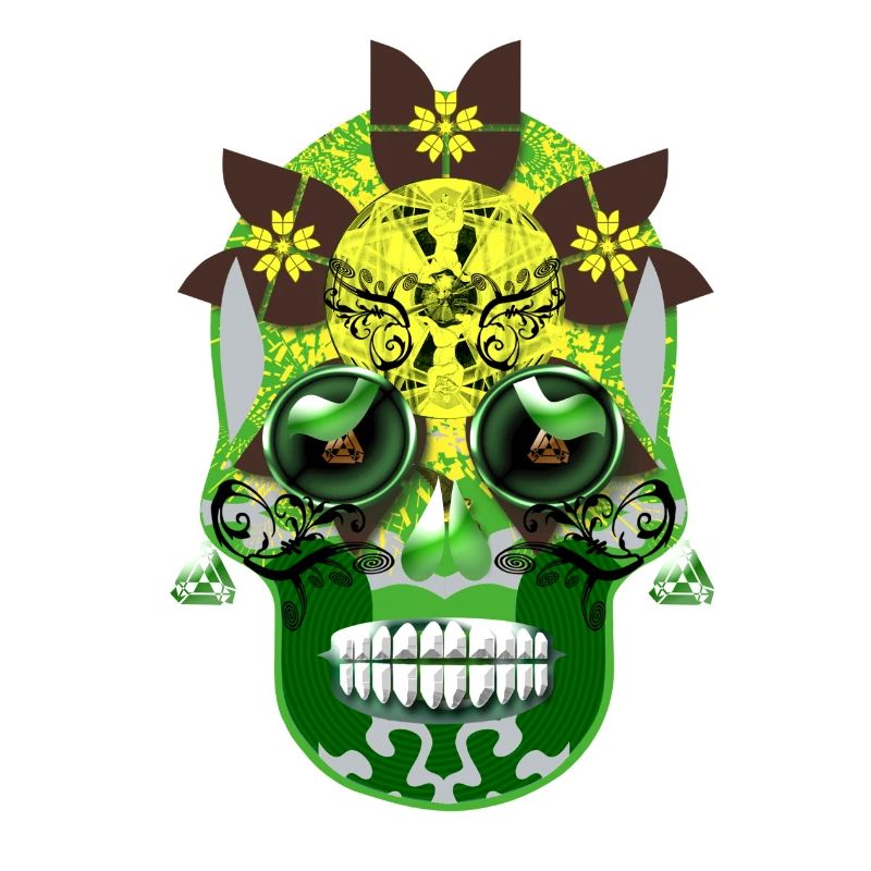 skull 6