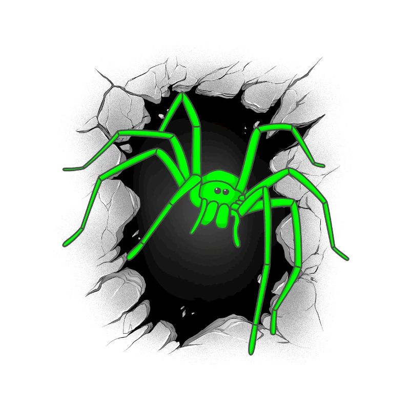 Spiders Spider Halloween Spiders Phobia