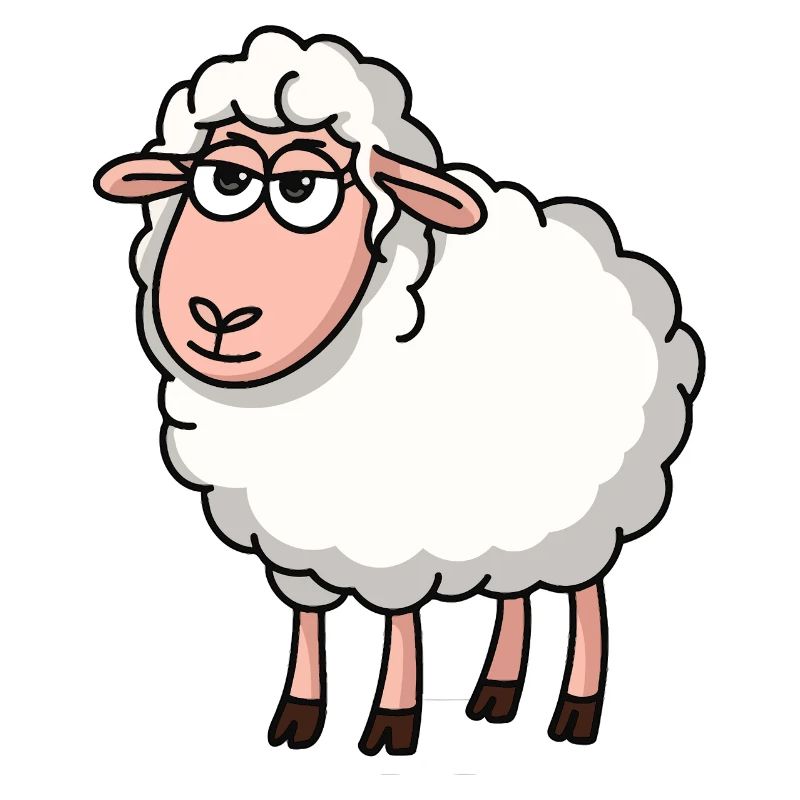 Chill Sheep