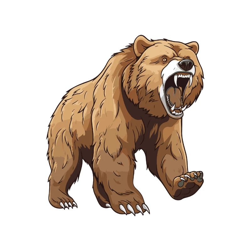 Bear Animal