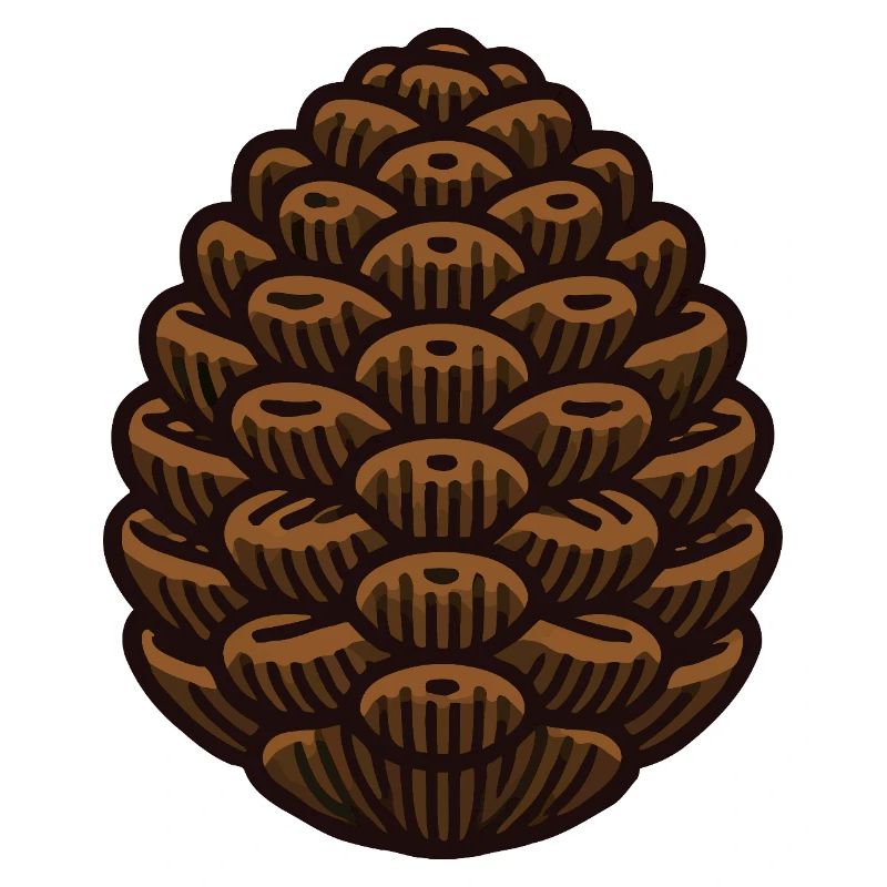 Pine cone