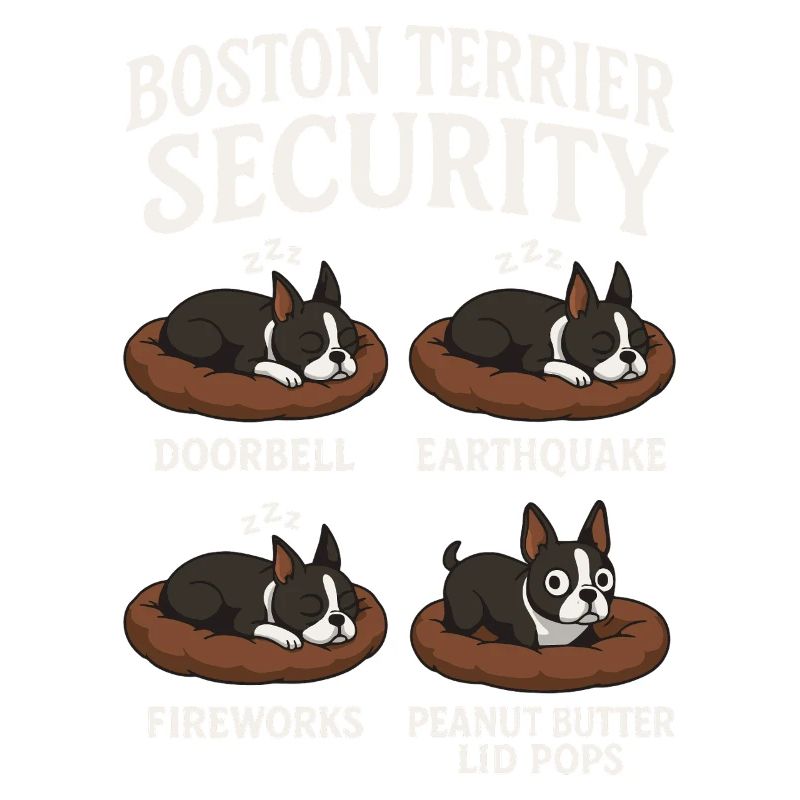 Boston Terrier