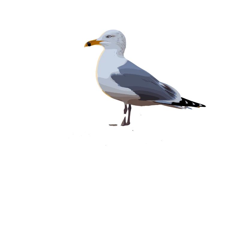 Möwe Mit Heul Leise Text